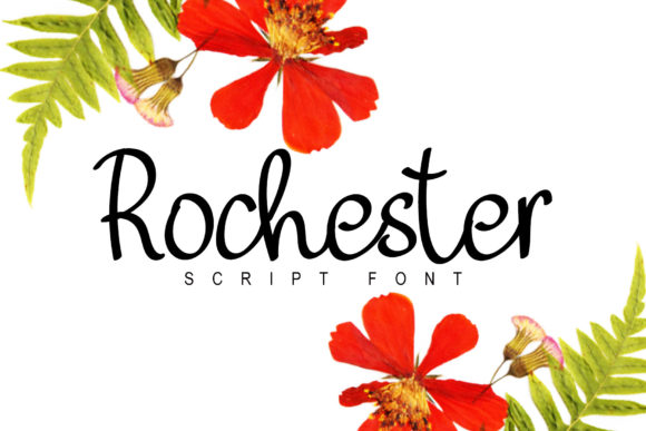 Rochester: A Delicate Script Font for Elegant Editorial Design