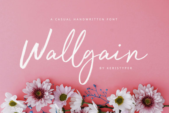 Wallgain: How a Rustic Handwritten Font Transformed My Brand’s Look